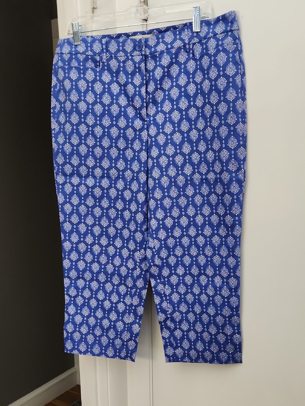 Talbots Royal Blue & White Printed Pants